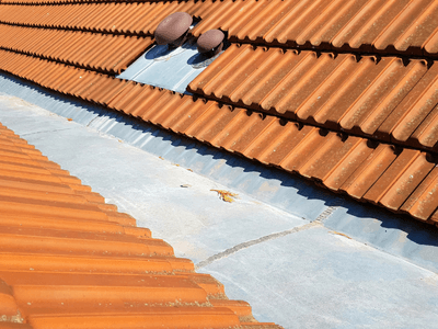 About Leaking Skylight Repair Pros Tripoli, IA